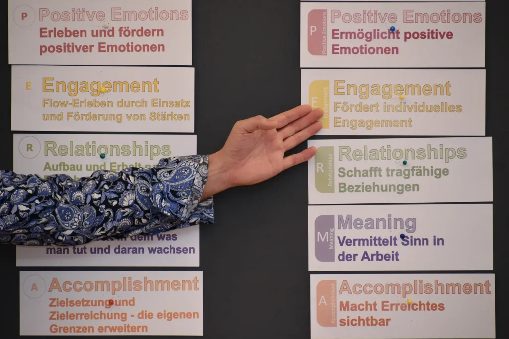 Erklärung Themengebiet PERMA-Lead beim gemba.austria Positive Leadership Training